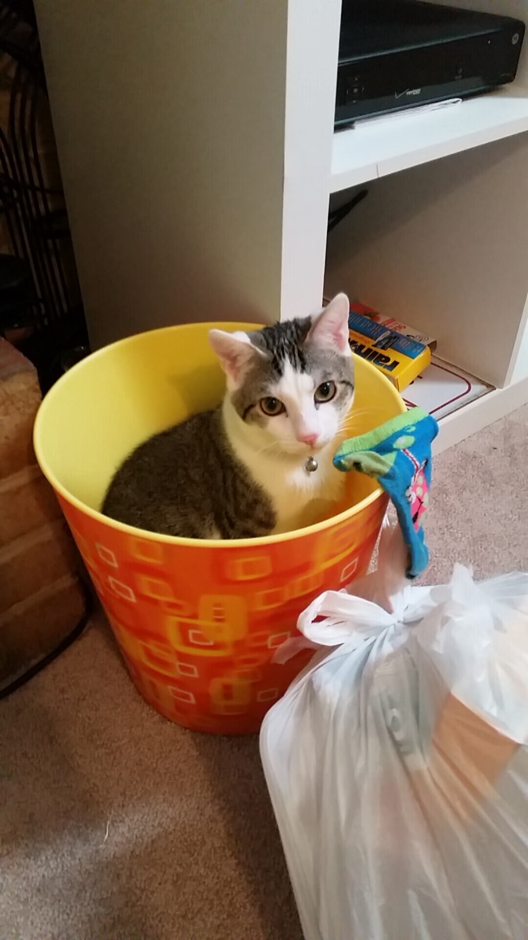 APP下载 LY Sports-“中超俱乐部投资逐年增长，发展迅速”，中超俱乐部新名称