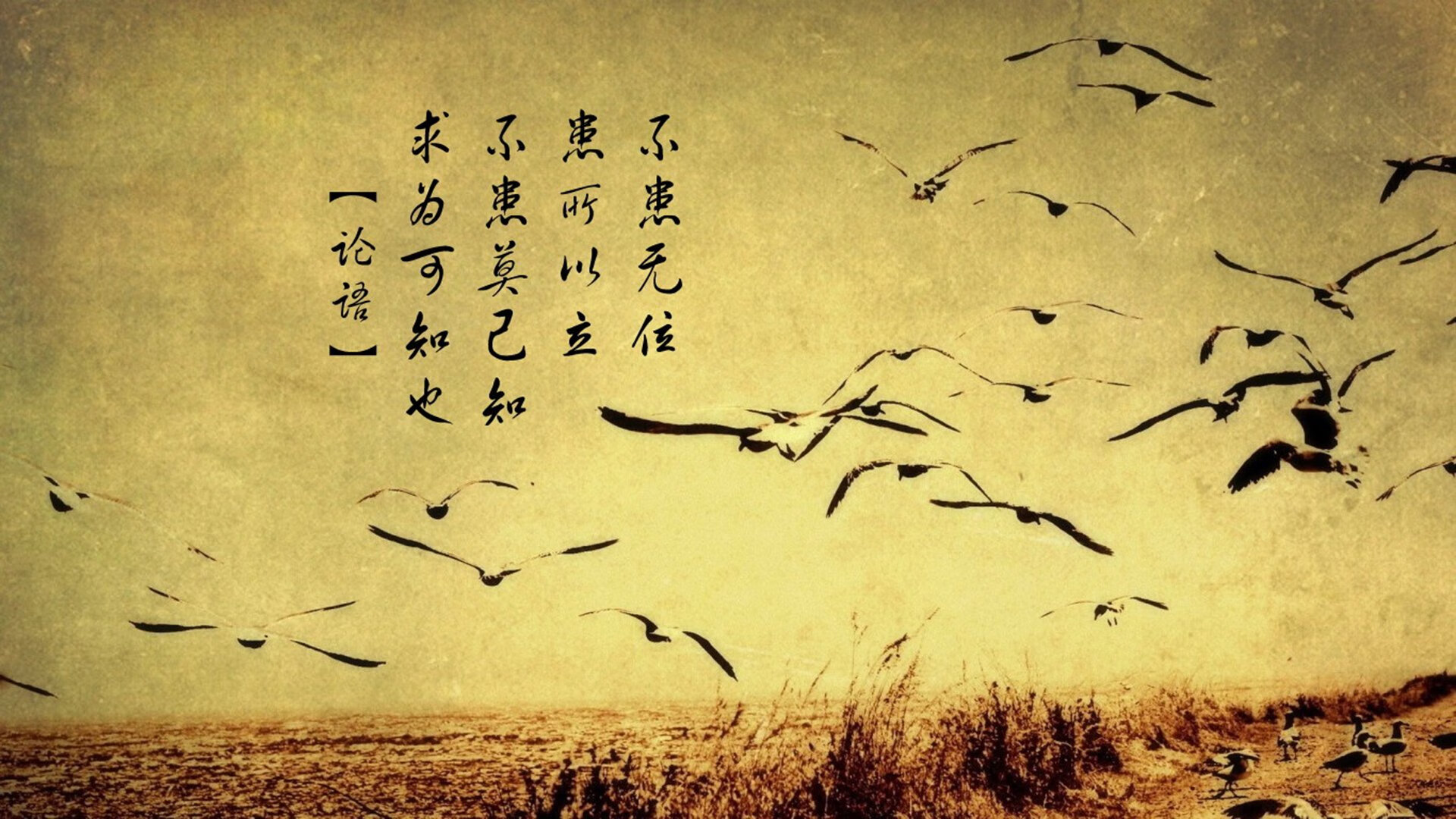 “英超战火不断,夺冠队伍展开新一轮角逐”,英超争冠