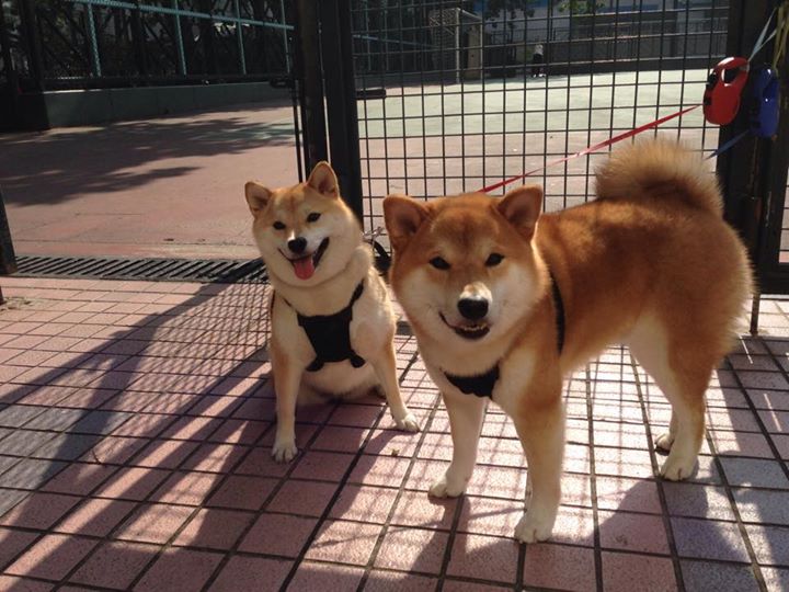 《校园电竞联赛火热进行：青春竞技再扬帆》，校园电竞比赛的宣传语