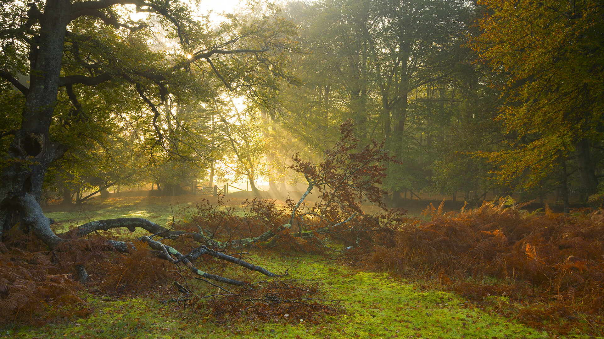 季后赛“绝地反击”:库里在落后30分的情况下用远投连续得分,奇迹般逆转成功