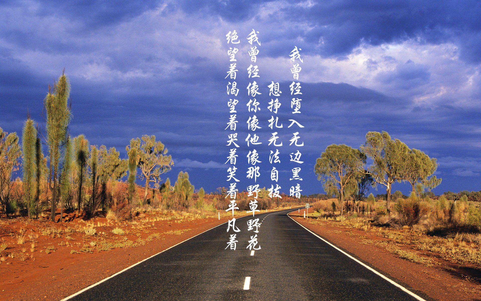 沙漠马拉松:勇闯荒漠的无畏挑战,2021沙漠马拉松