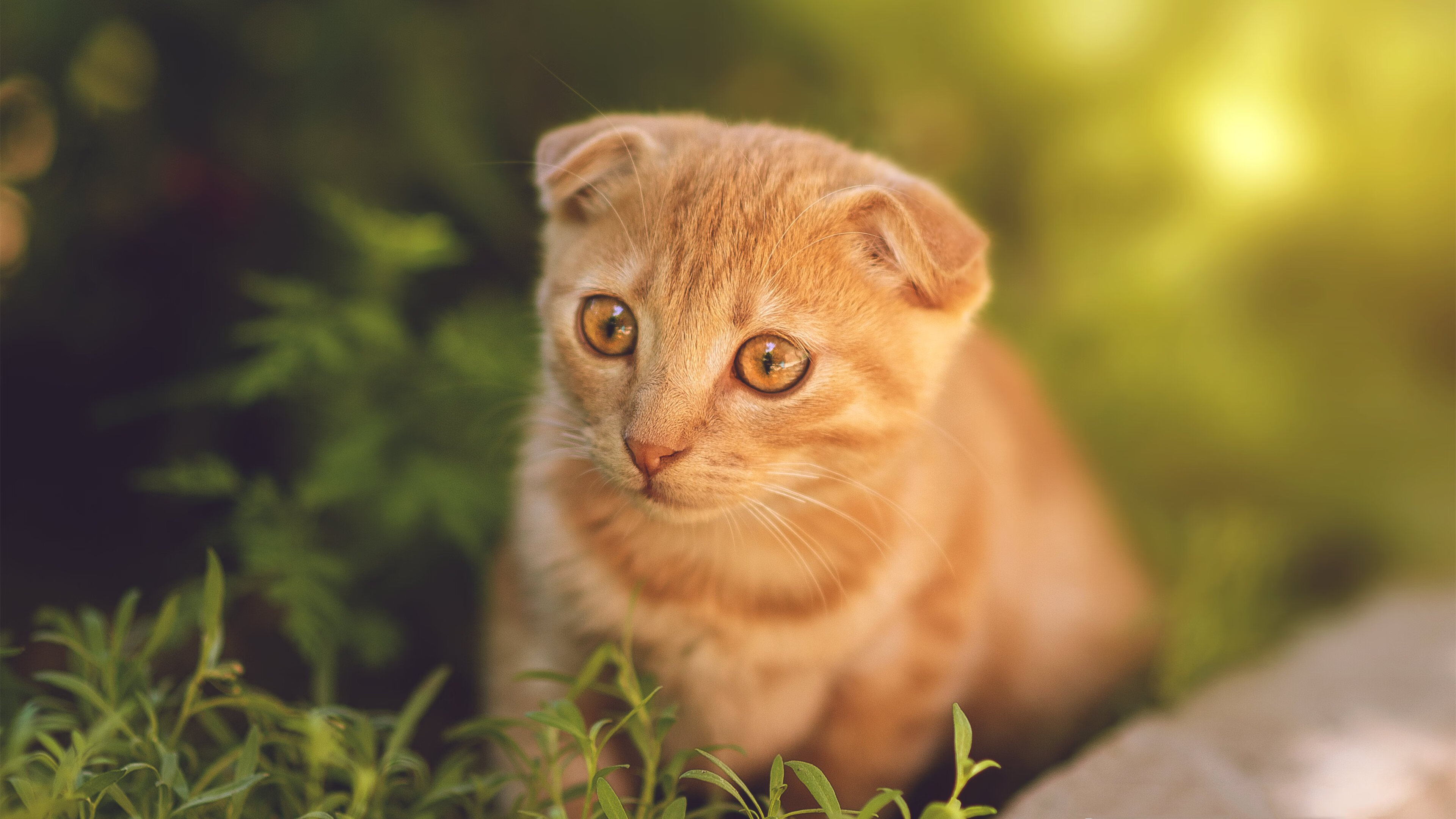 特色青训“技能+素养”双轨升级,加快青少年成长速度