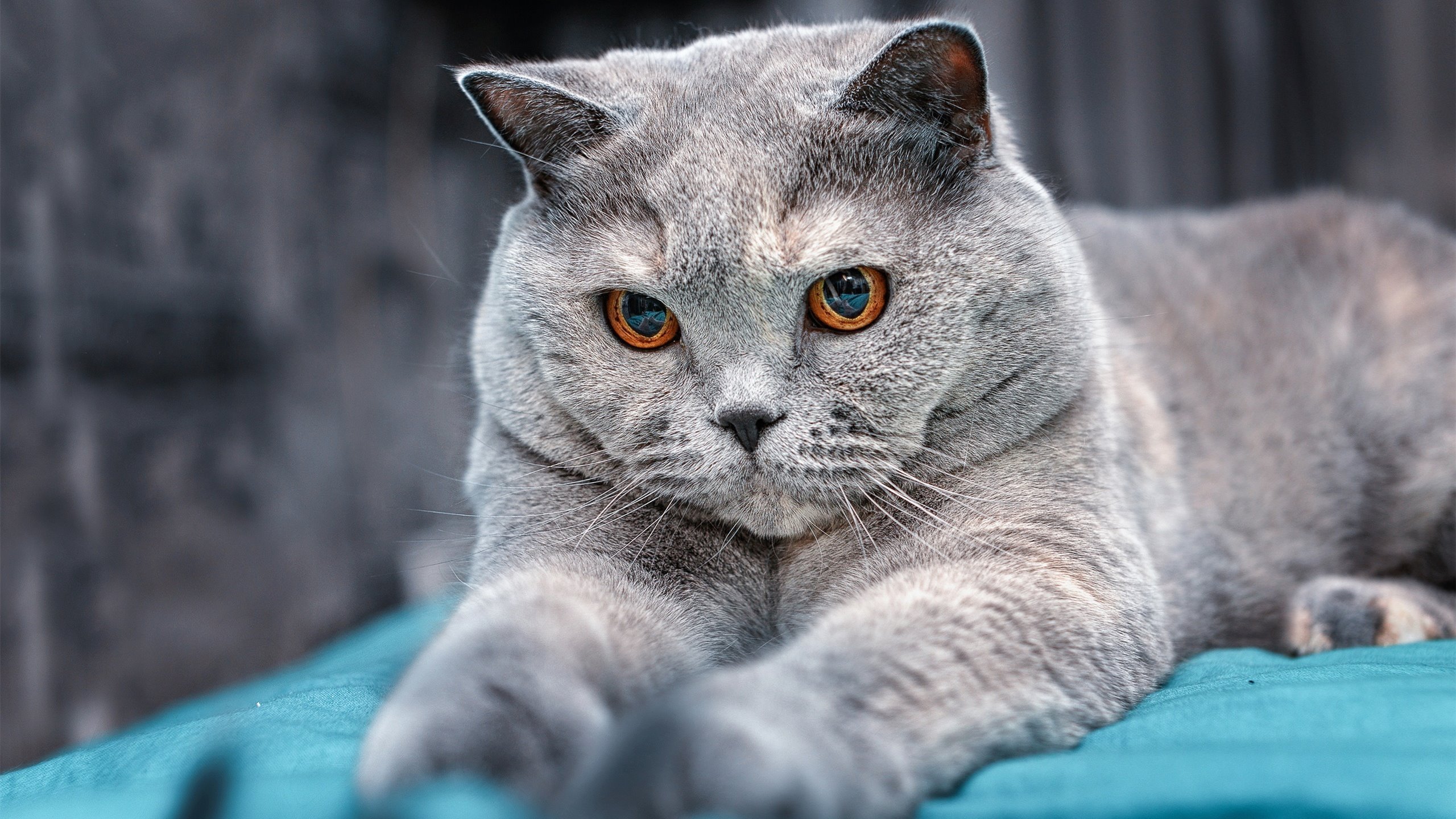 特色青训“科创+产业+文化”融合发展模式在行业中不断深化