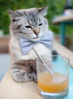 青少年“绿色训练”实践在青海成功试点，环保理念深入人心，青少年绿色行动