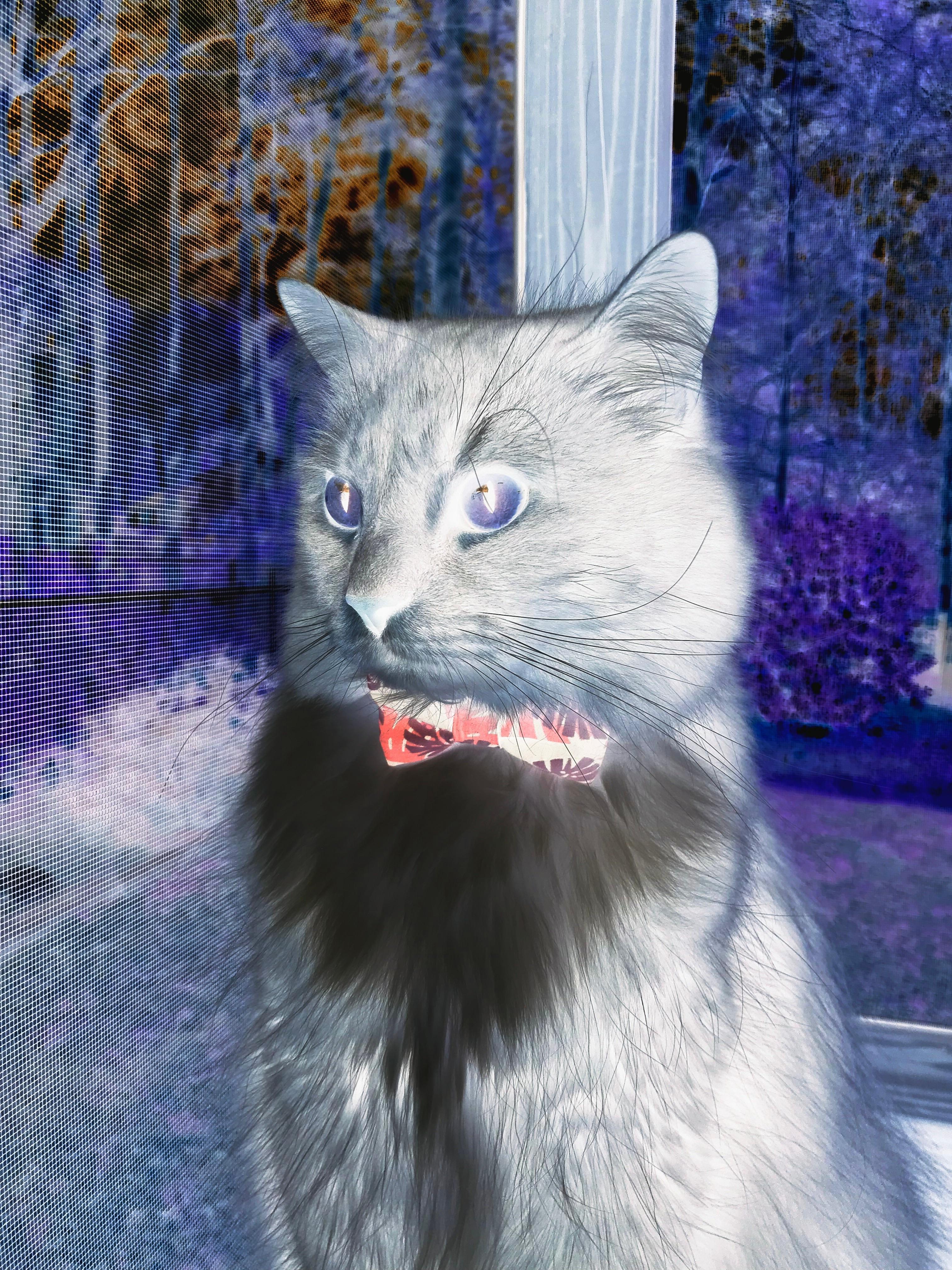 乐鱼电竞-青少年“超级球星”选拔赛在北京激烈展开，培养本土明星，超级青少年是真是假