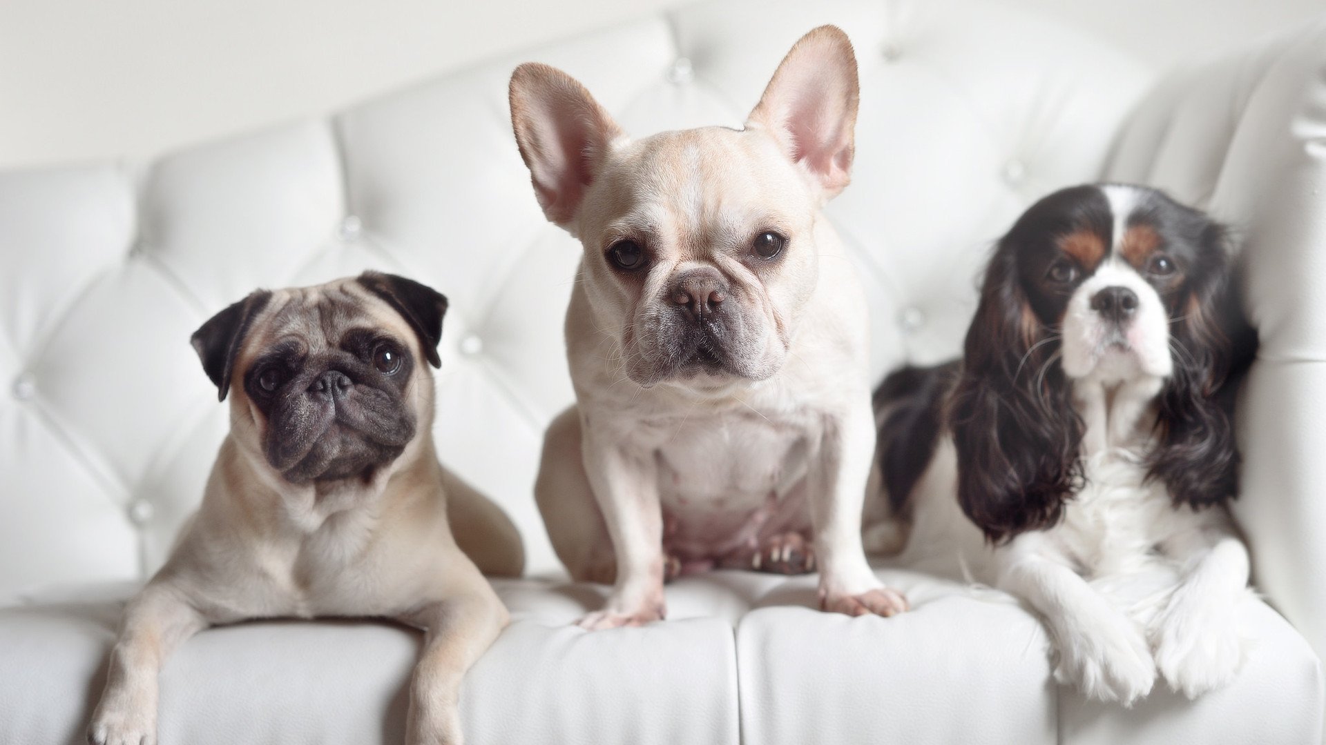 KPL赛区奖金分配机制调整,kpl联赛的奖金