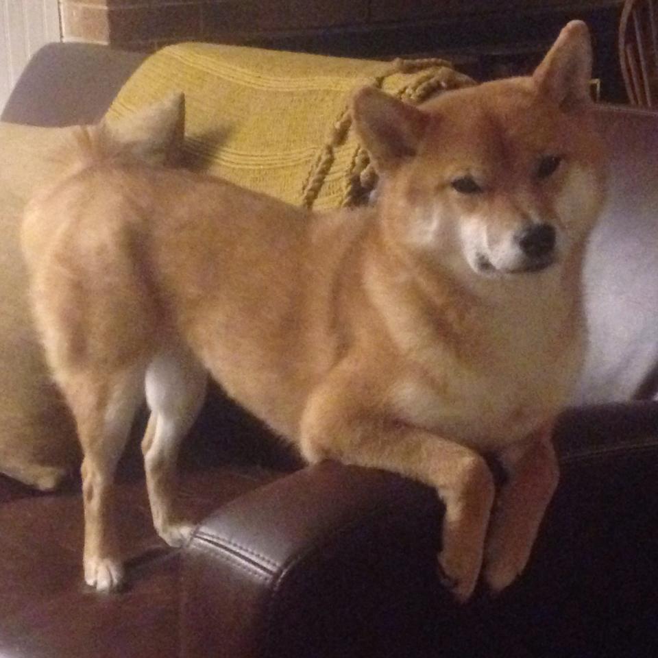 上港球员集训备战，为即将到来的比赛做最好的准备！，上港队训练基地