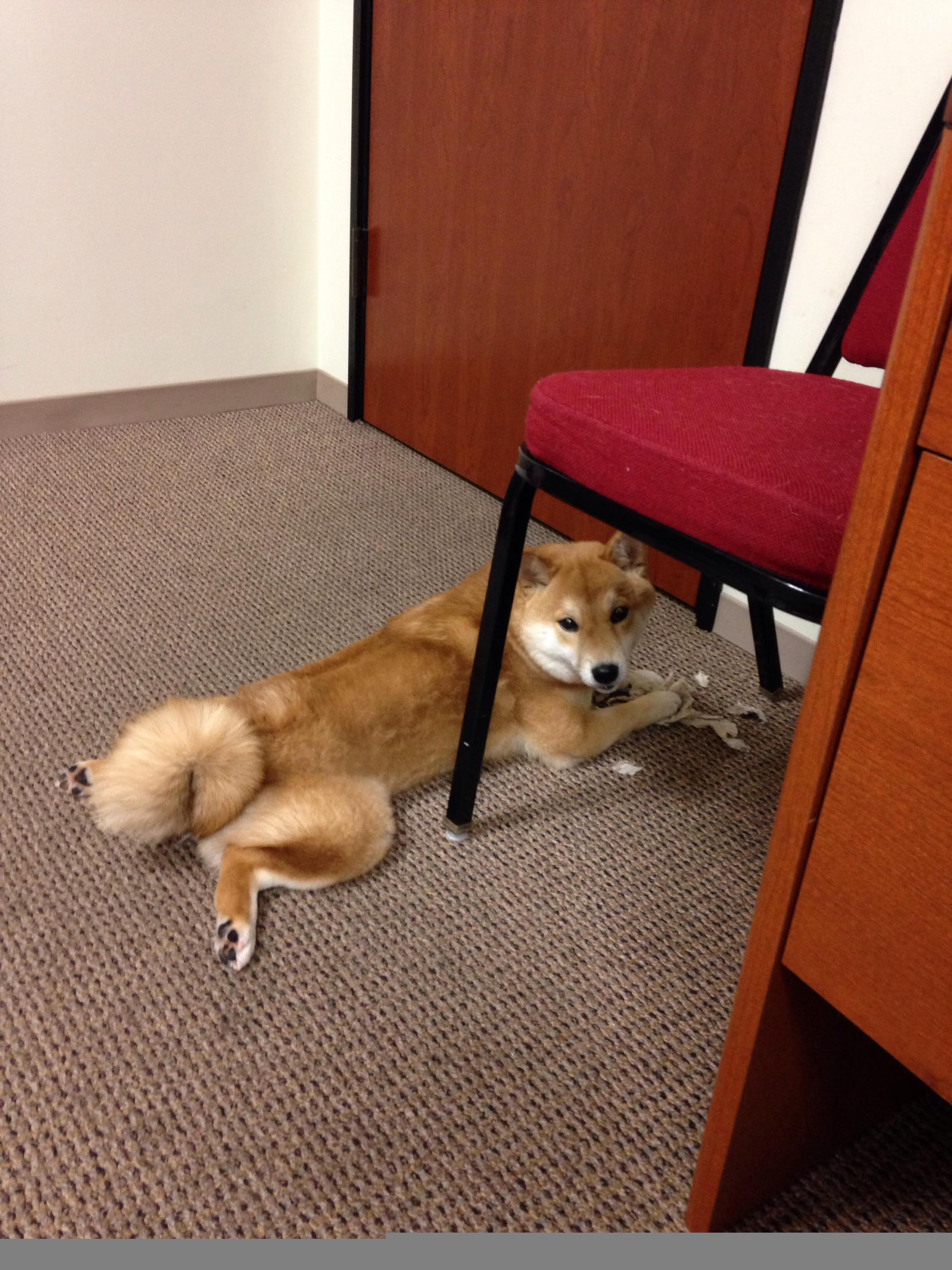 乐鱼体育(中国)官方网站-国民队球员伤病情况更新，nba国民队