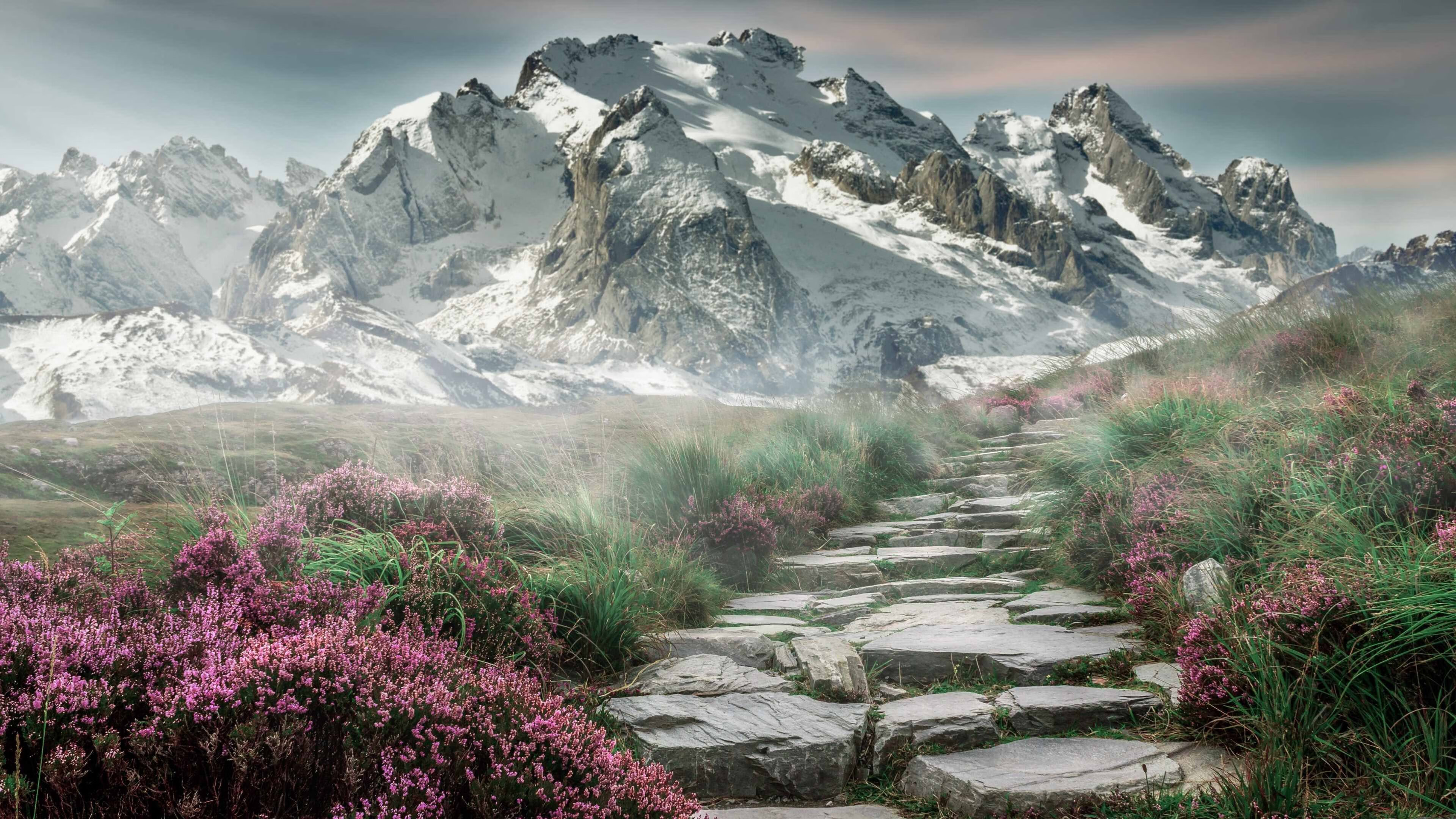 美国队在巴黎奥运会比赛中多次通过团队配合得分，美国队奥运会阵容