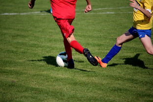 乐鱼体育登录-NBA球员训练计划优化设计，nba运动员训练计划