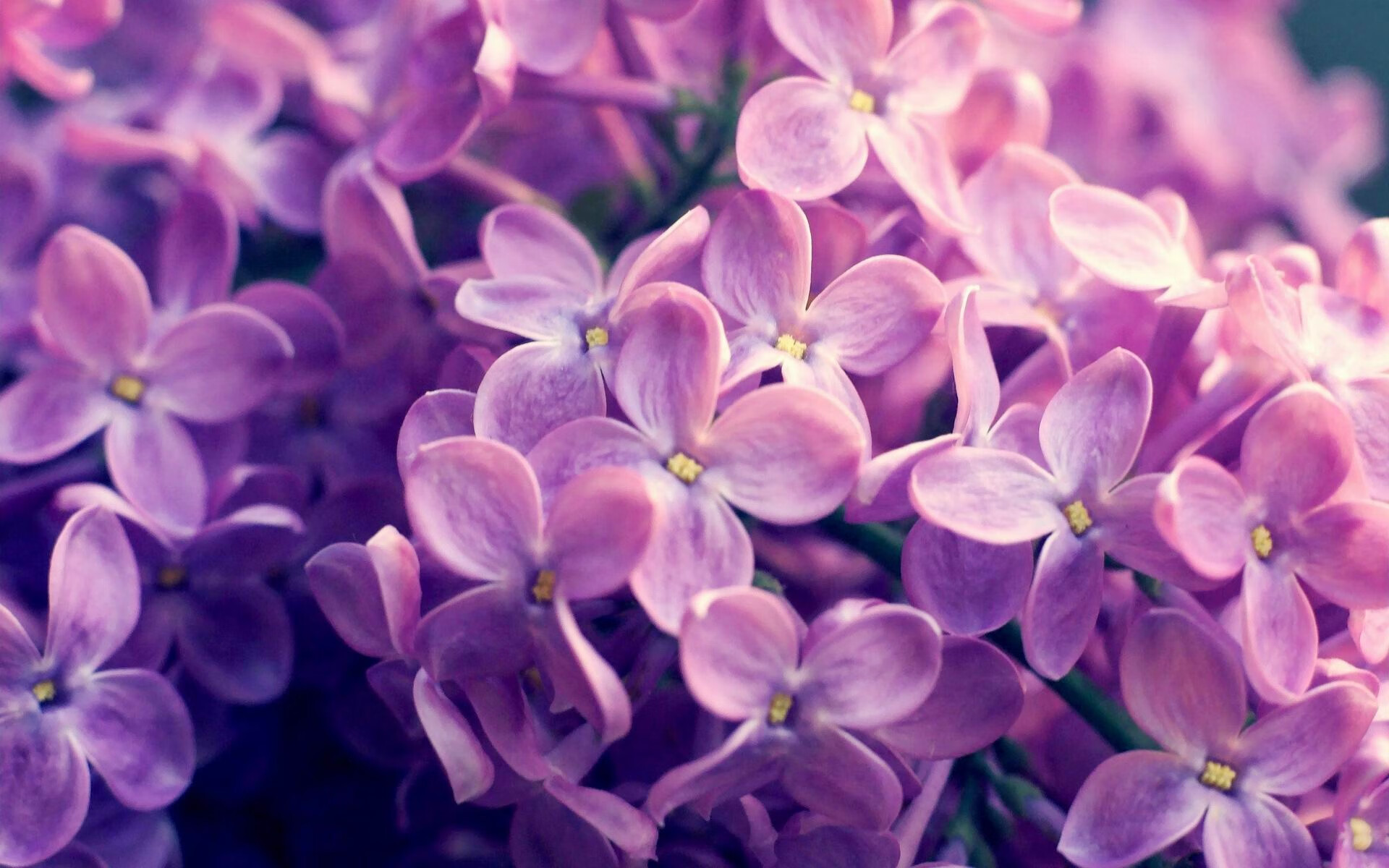 中国篮球青训教练员专业能力提升及教学创新研究,篮球教练员培训计划方案