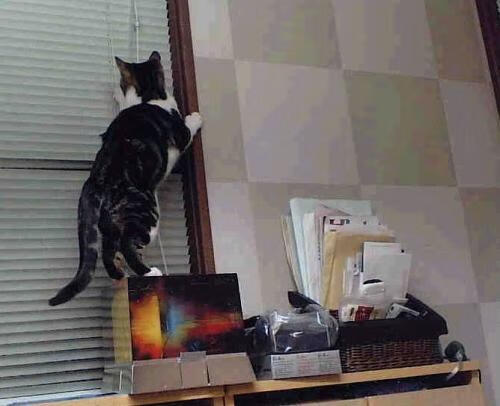 中国足球技术动作失误分类数据,足球失误动图