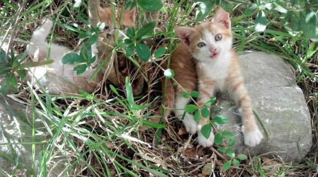 全国青少年体育舞蹈大赛引领青春潮流,全国青少年体育舞蹈锦标赛