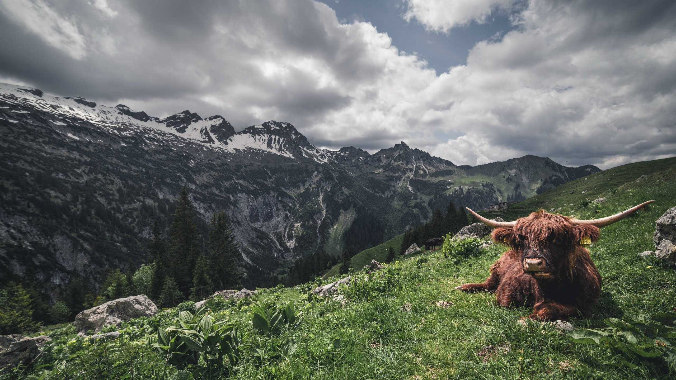 明星运动员捐建公益操场支持乡村体育,中国运动员捐款排行榜