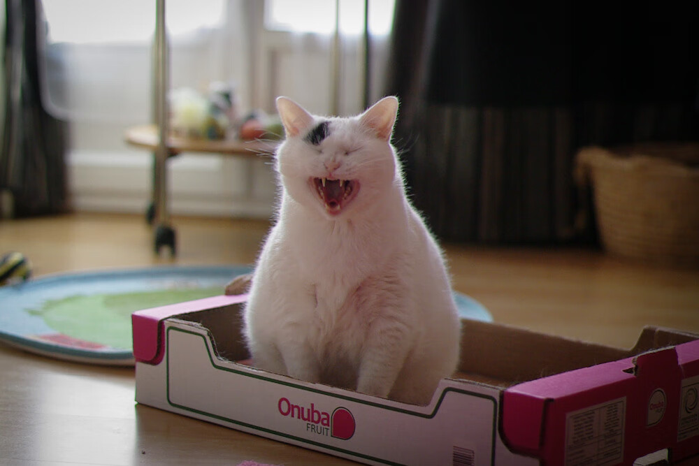 乐鱼电竞在线平台-联盟现役最强单打手的进攻选择分析，lol中单选手实力排名