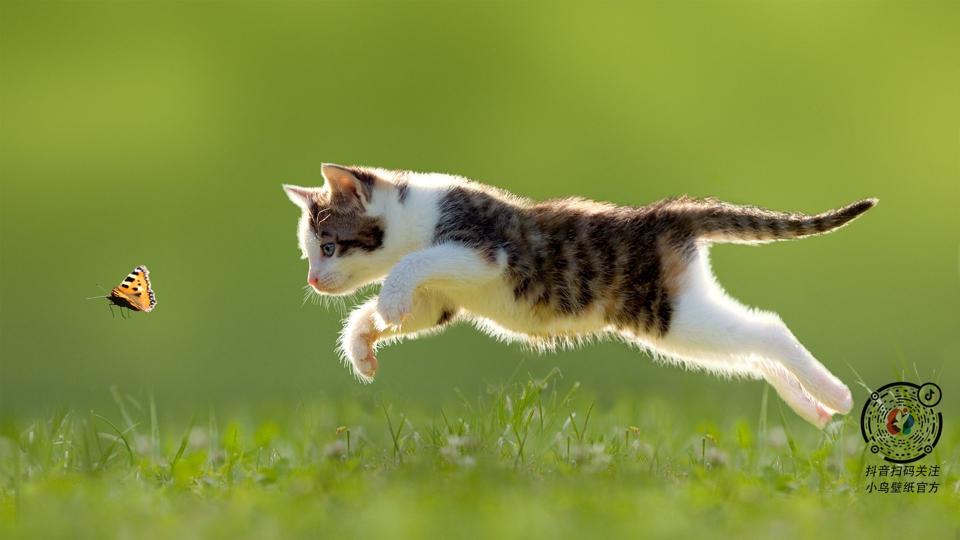 新闻中心公告体育企业入驻国家平台资质审核流程，体育公司资质包括哪些资料